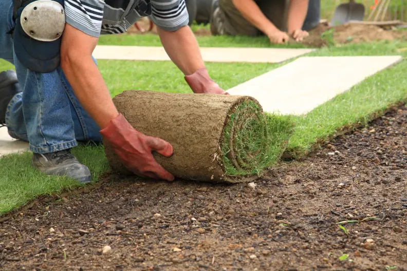 How Long After Installing Sod Can You Walk On It Portsmouth, VA