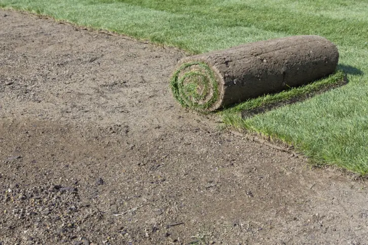 How Long After Installing Sod Can You Walk On It in Portsmouth, VA