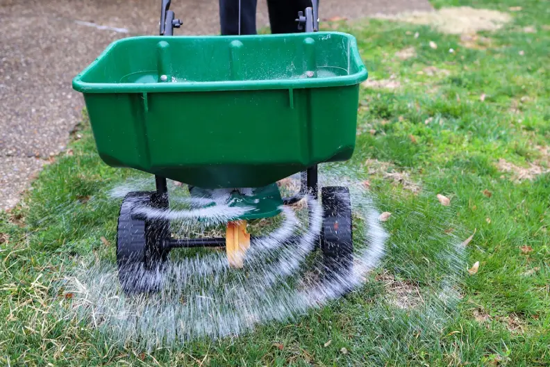 How Often Should You Fertilize Your Lawn in Portsmouth, VA