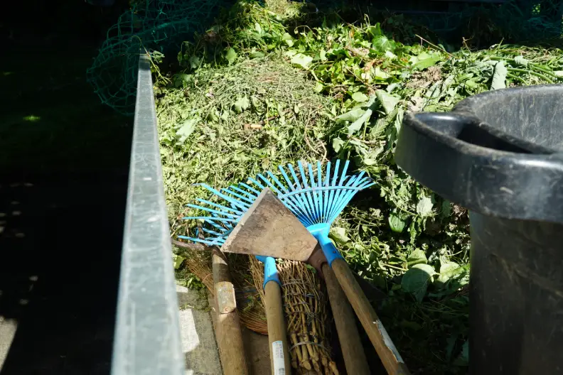 How to Clear a Yard Full of Weeds Portsmouth, VA