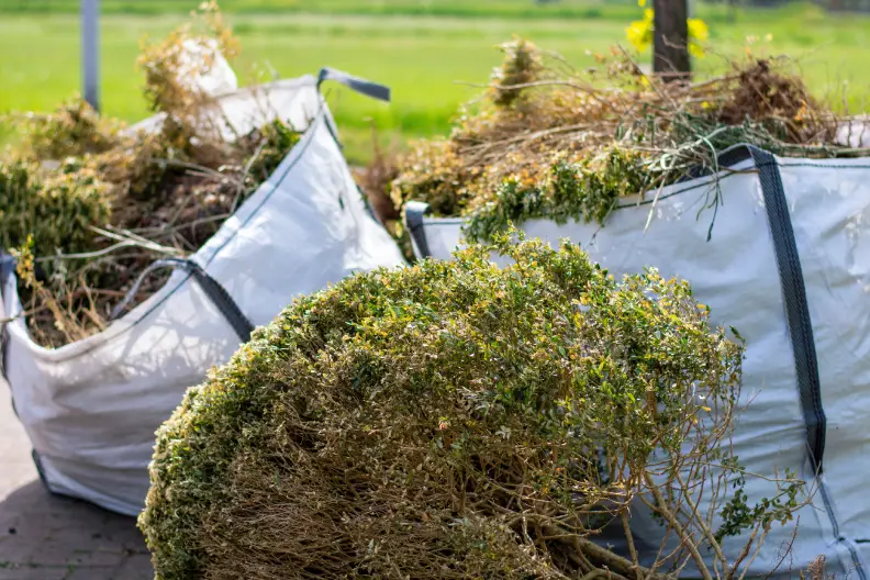 How to Clear a Yard Full of Weeds in Portsmouth, VA