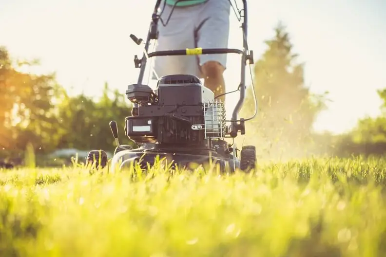 Lawn Mowing in Portsmouth, VA