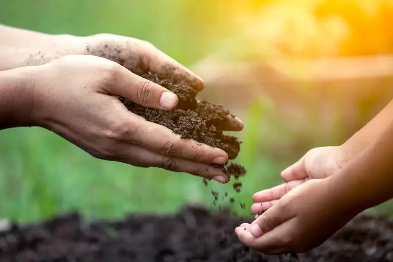 Mulching in Portsmouth, VA