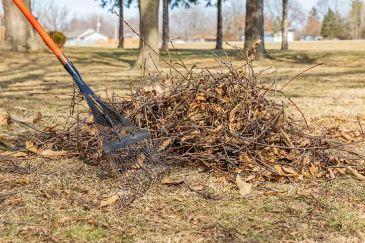 Yard Cleanup in Portsmouth, VA - Landscaper