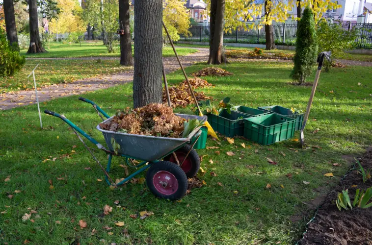 Yard Cleanup in Portsmouth, VA